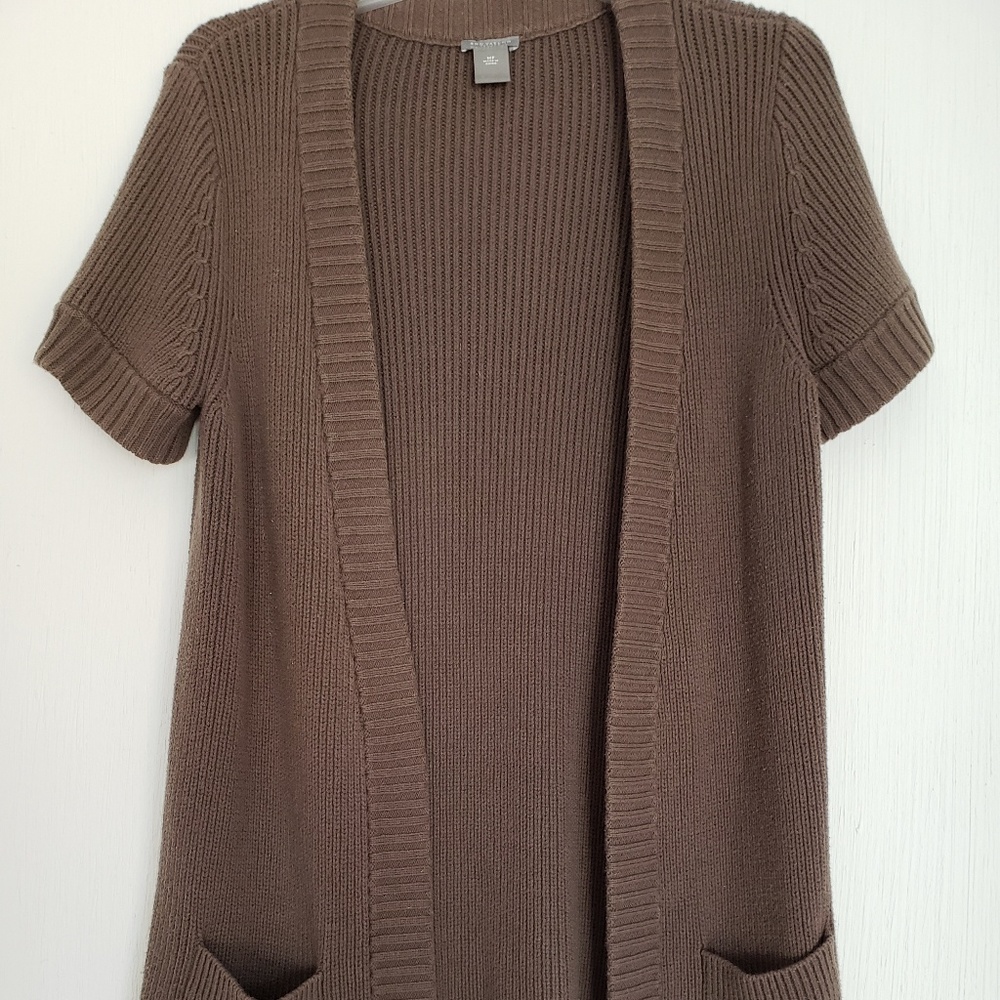 Ann Taylor Petites Sweater